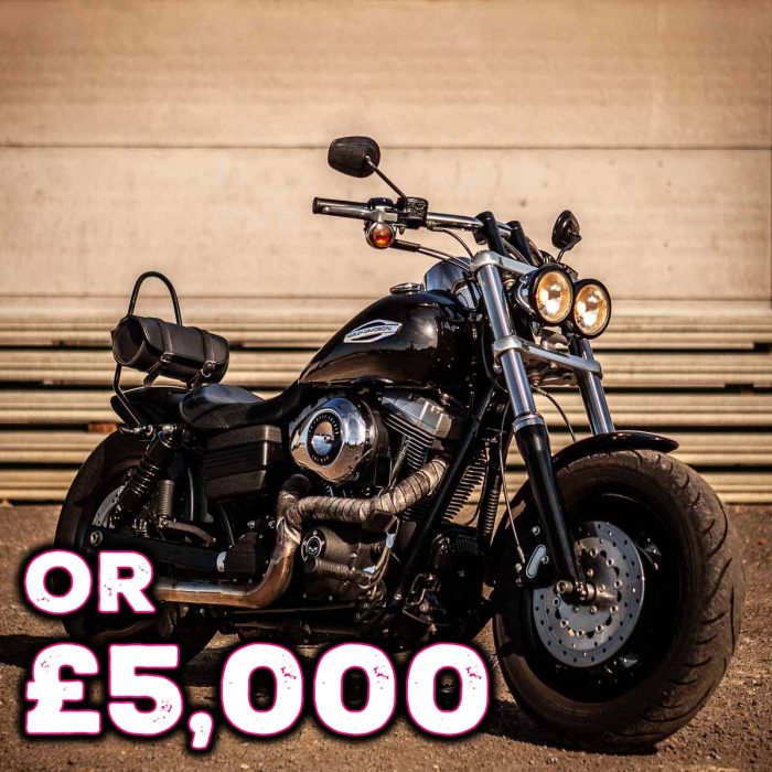 Harley Davidson Dyna FXDF Fat Bob